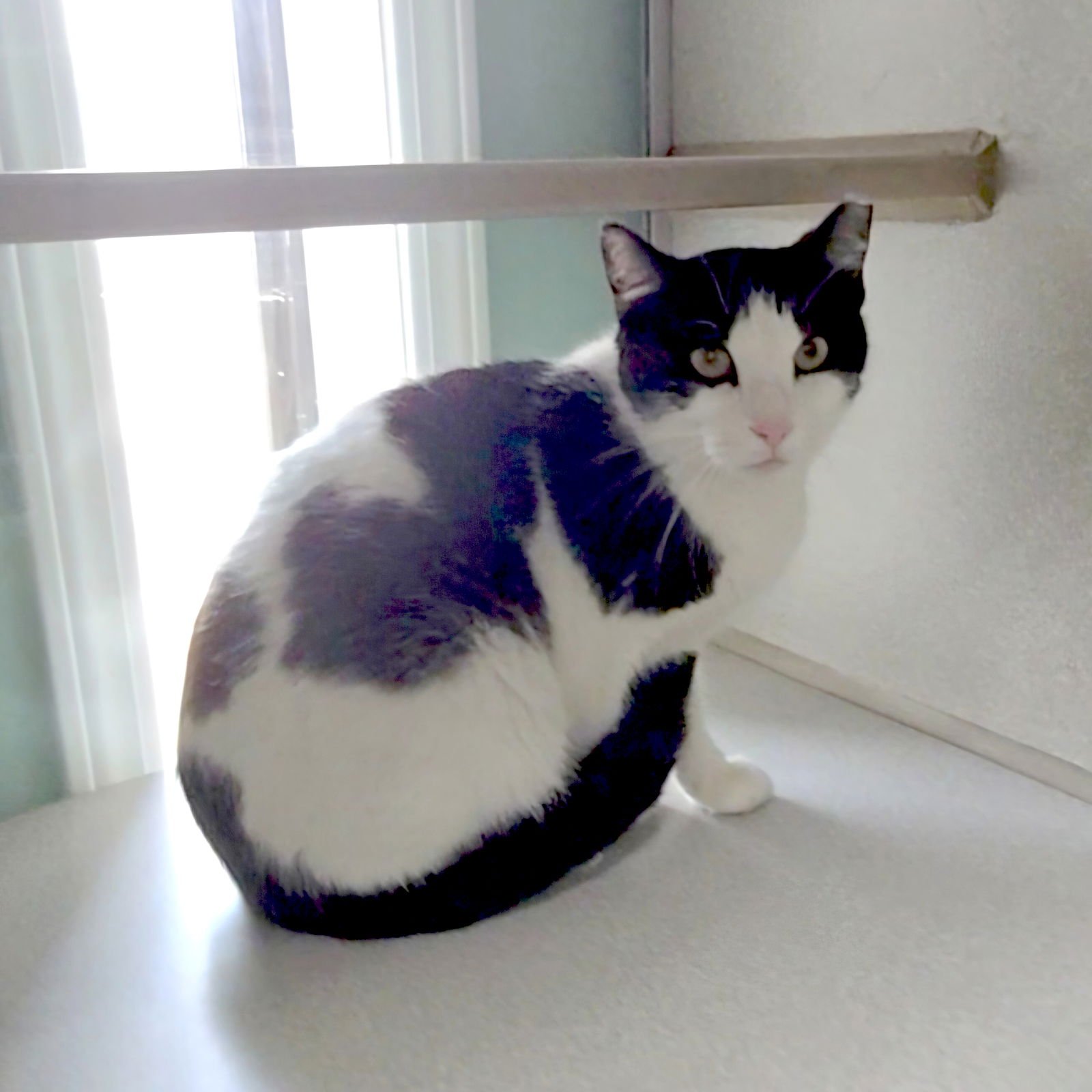 Maggie Mae - Photo 3