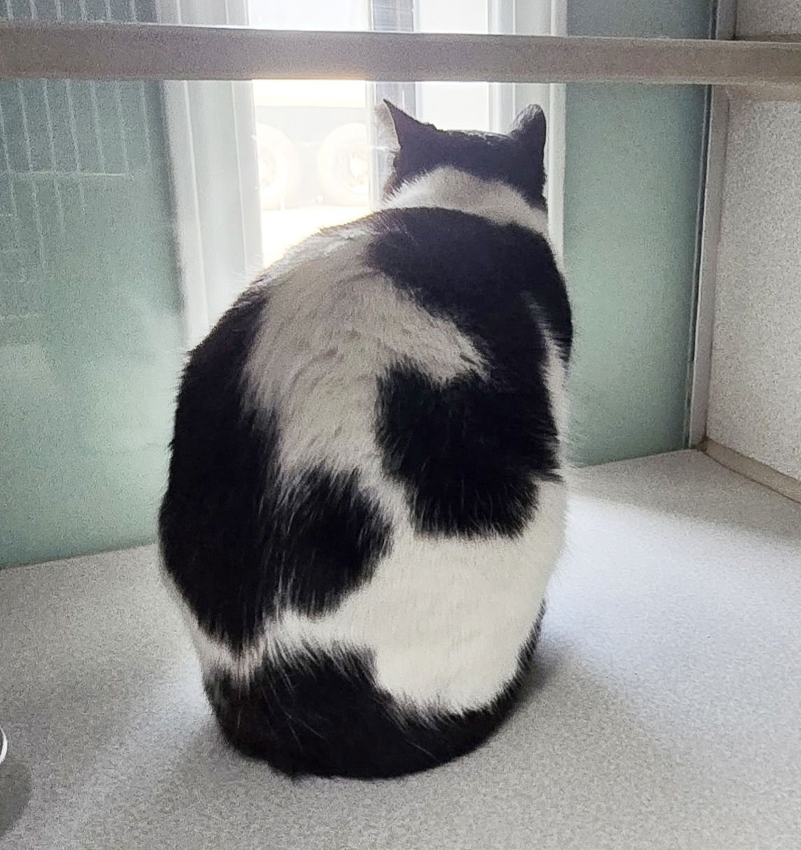 Maggie Mae - Photo 4