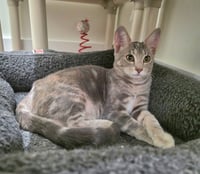 Felicity - Photo 5