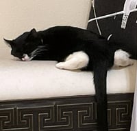 Chancie - Photo 5