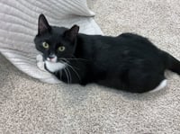 Chancie - Photo 3