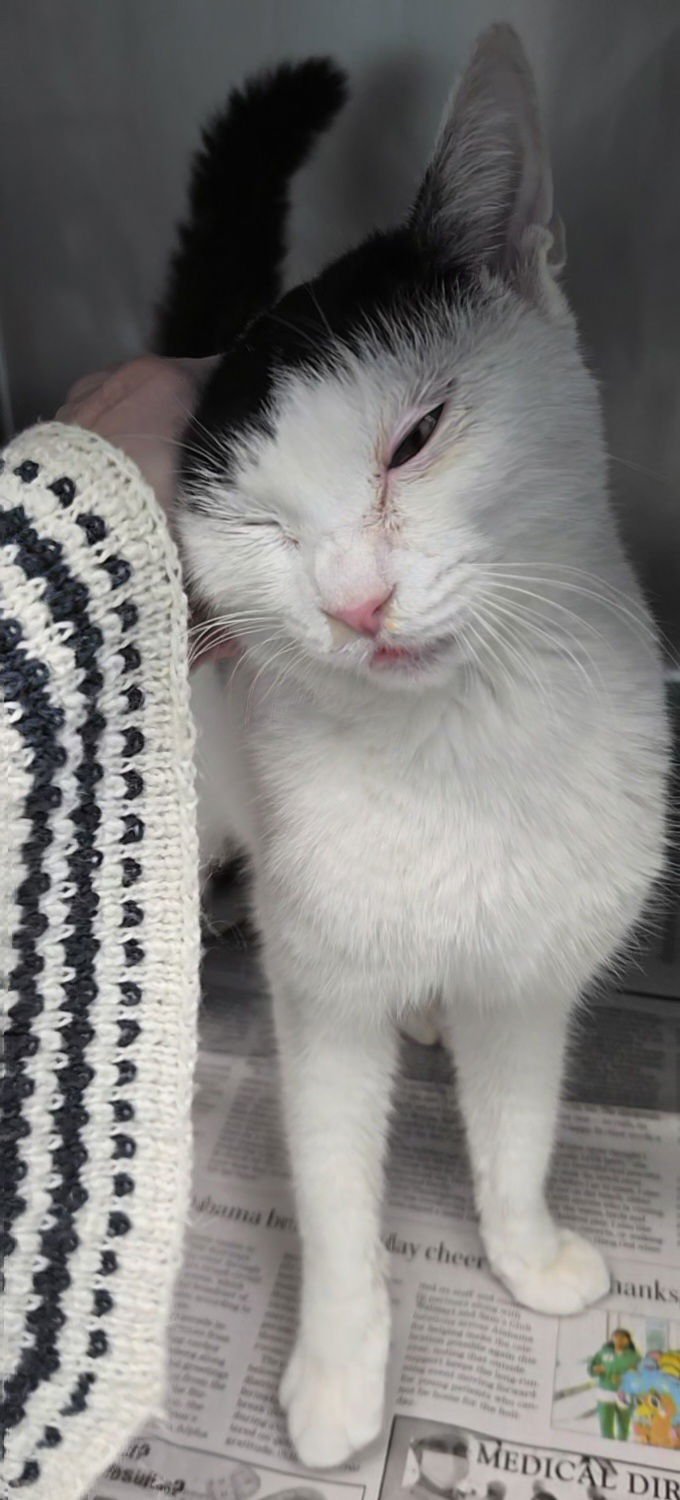 Cinderella - Photo 3