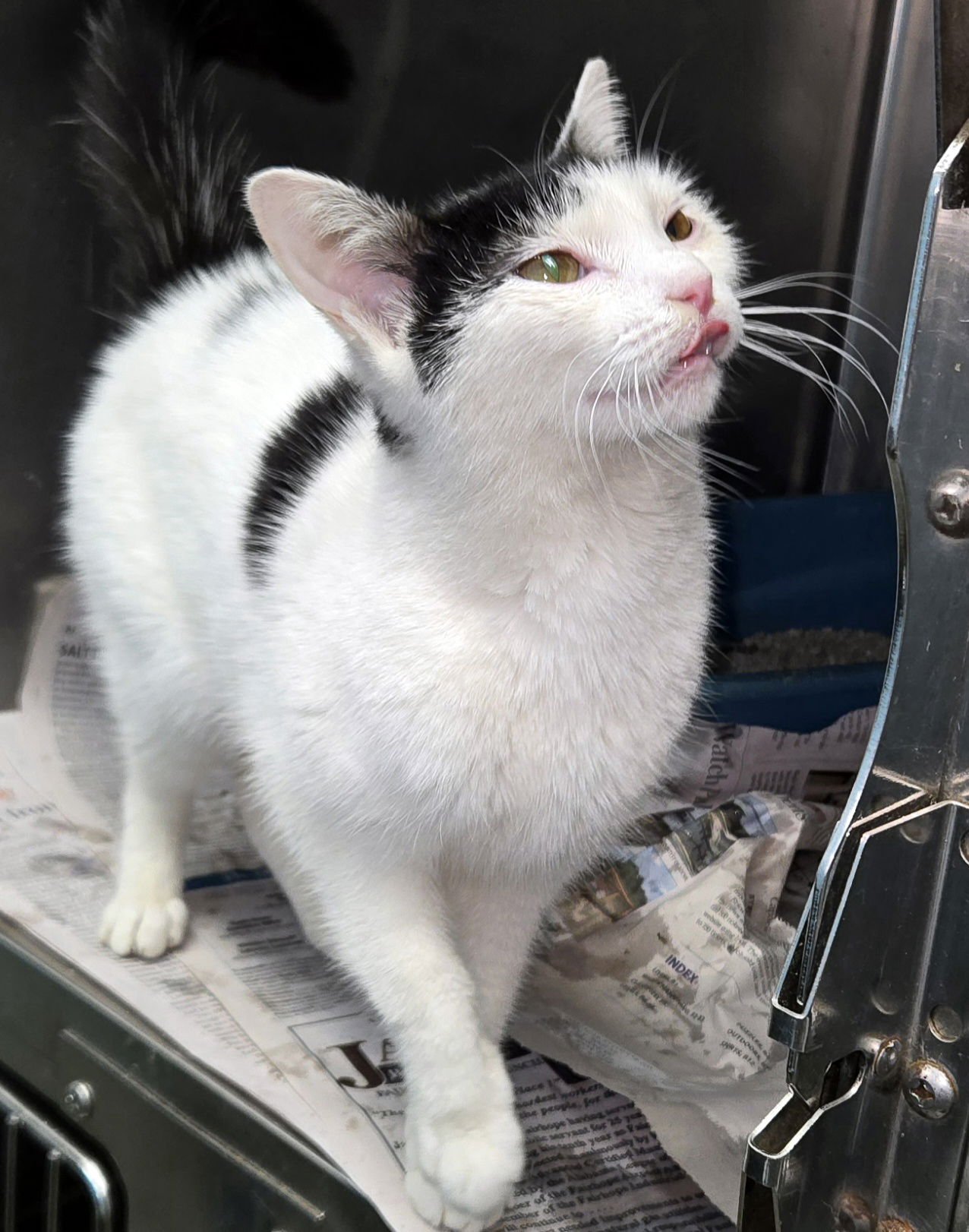 Cinderella - Photo 4