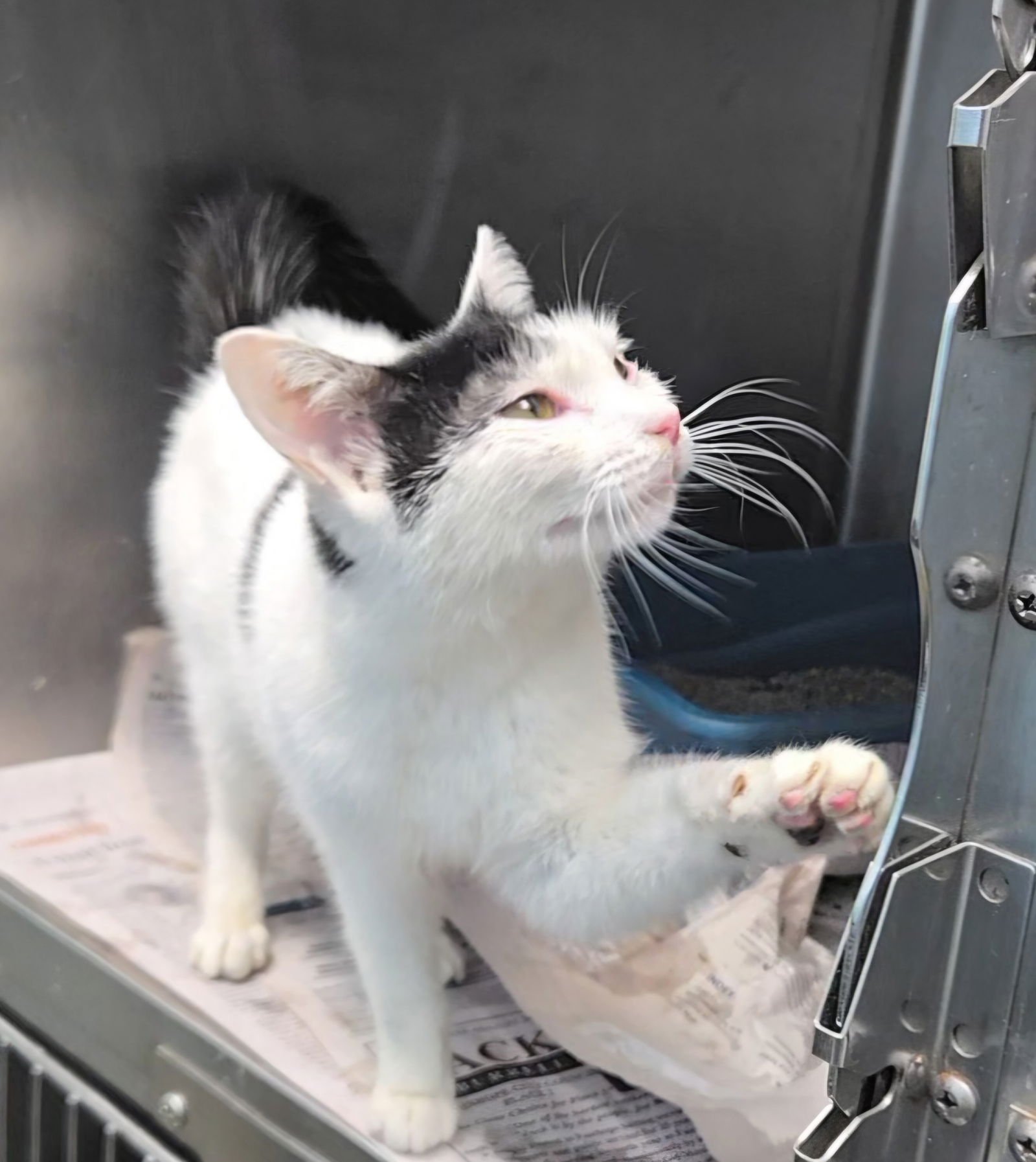 Cinderella - Photo 5