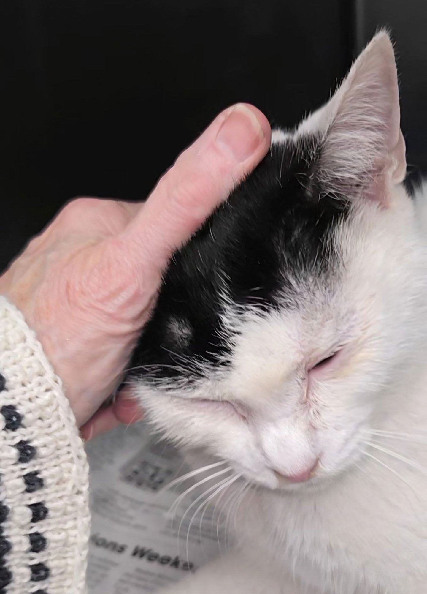 Cinderella - Photo 6