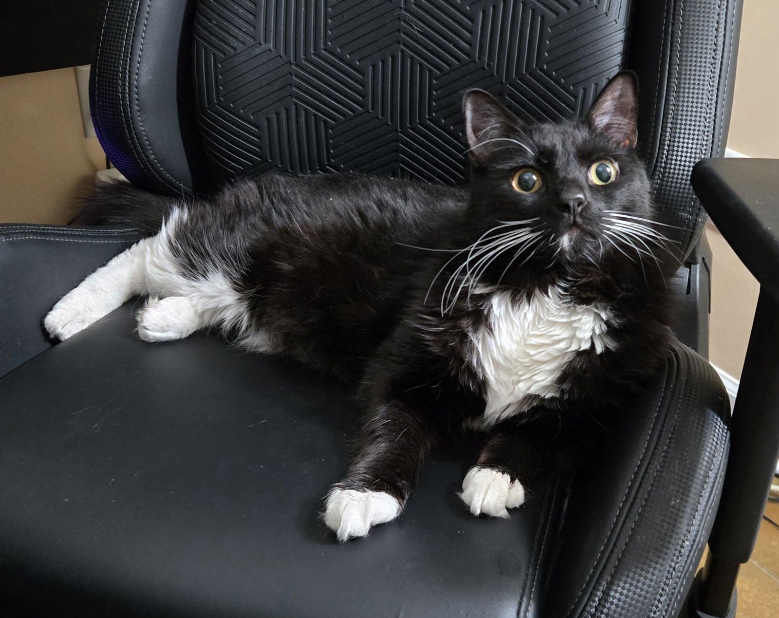 Kenny (blind) - Photo 5