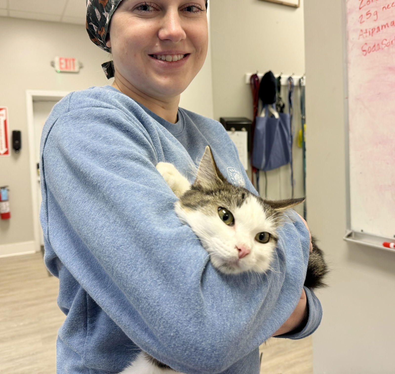 Princess Purringtons - Photo 3