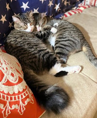 Spice - Photo 7