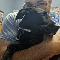 Daisy - Photo 4