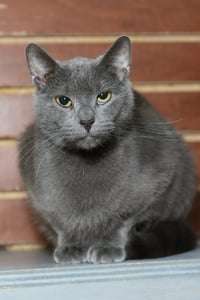 Jim - Photo 1