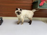 Mildred - Photo 2