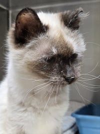 Mildred - Photo 5