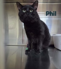 Phil - Photo 6