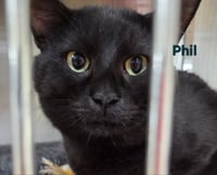 Phil - Photo 2