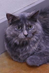 Myla - Photo 5