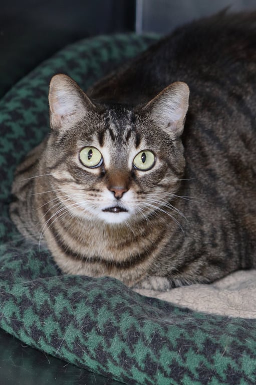 Sabrina Image