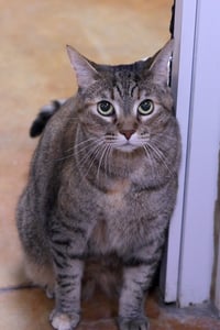 Kate - Photo 4