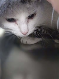Lois - Photo 4