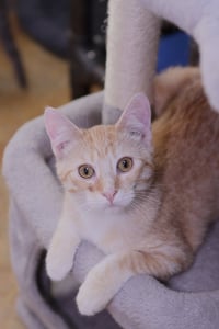 Brema - Photo 9