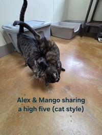 Alex - Photo 10