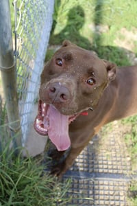 Quest (sponsored fee) - Photo 4