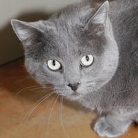 PATTY - Photo 2