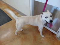 Bram (sponsored fee) - Photo 9
