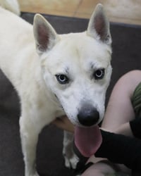 Bram (sponsored fee) - Photo 8