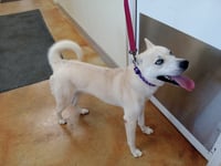 Bram (sponsored fee) - Photo 10