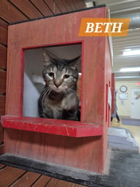 Beth - Photo 3