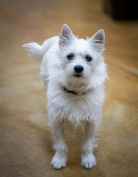 Mazy (no more applications) - Photo 1