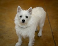 Mazy (no more applications) - Photo 2