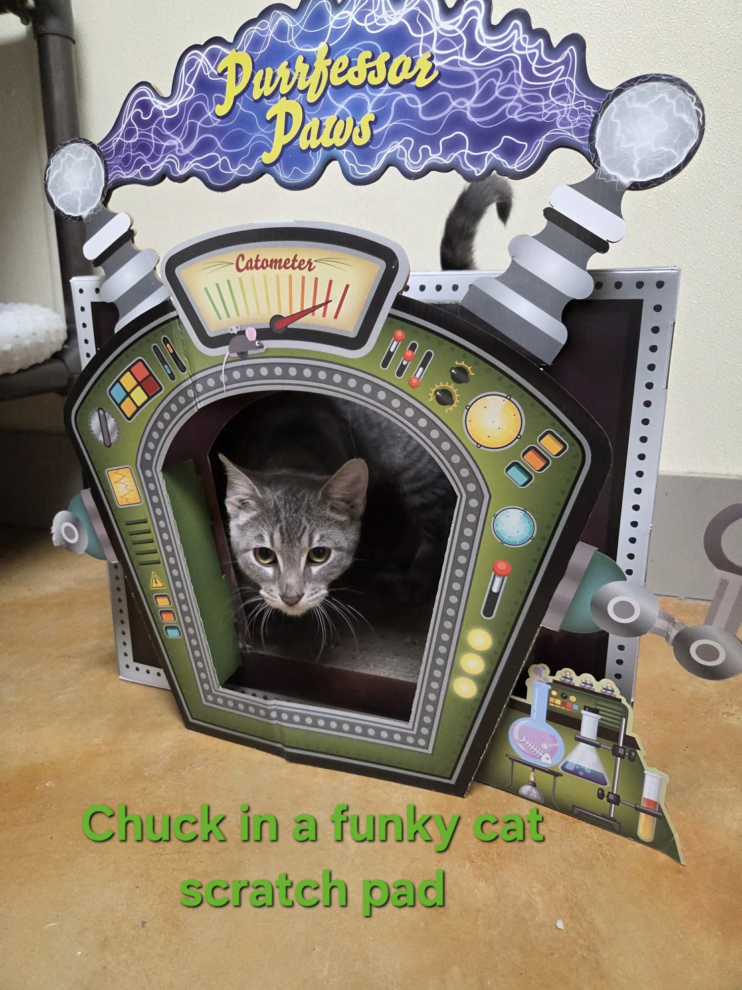 Chuck - Photo 3