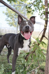 Rowen (long-term resident/sponsored fee) - Photo 3