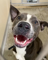 Rowen (long-term resident/sponsored fee) - Photo 8