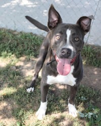 Rowen (long-term resident/sponsored fee) - Photo 5