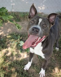 Rowen (long-term resident/sponsored fee) - Photo 6