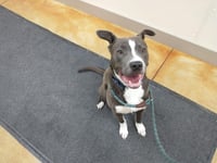 Rowen (long-term resident/sponsored fee) - Photo 10