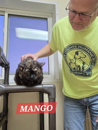 Mango - Photo 7