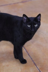 Max - Photo 3