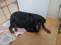 Hilda - Photo 3