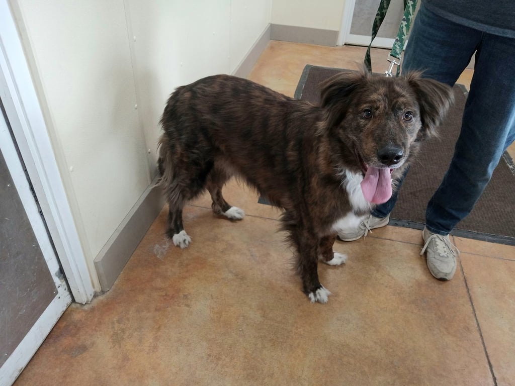Tucker Image