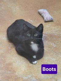 Boots - Photo 8
