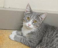 Greta - Photo 9