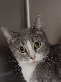 Greta - Photo 6