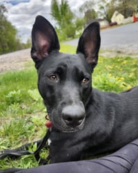 Kato - Photo 1