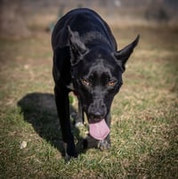 Kato - Photo 4