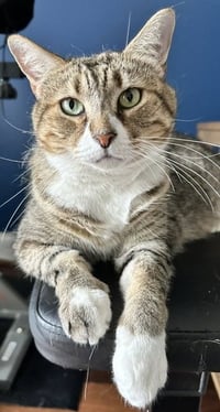 Mabel - Photo 3