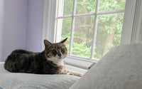 Mabel - Photo 6