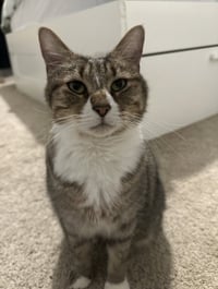 Mabel - Photo 10